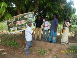 Field visit of Sesuraj farmer