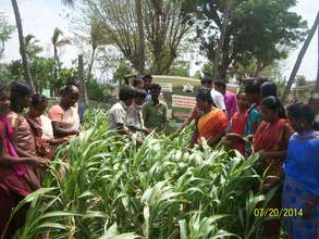 Practical class exposure