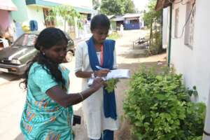 An overview of the Herbal Plants