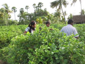 Youth getting practicals in farm field