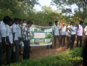 Agriculture needs trees and plants for supports