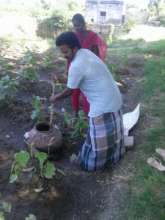 Guiding an Youth in preparing Pancha kavya