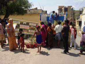 Distribution of 15 types of herbal plants