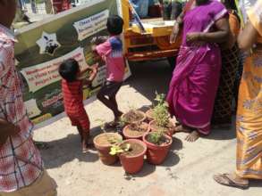 Kids enjoying arrival of new herbal plants