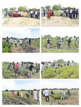 5000 saplings plantation drive