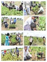 Field exposure for 125 Youth