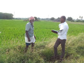 Youth volunteer learning in farms - Nov 2015