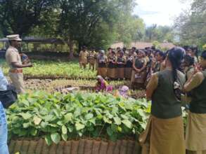 Practical sessions for Youth