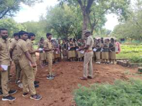 Seed preparation learning