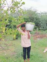 Vijeesh has harvested 80 fruits for kids of a home
