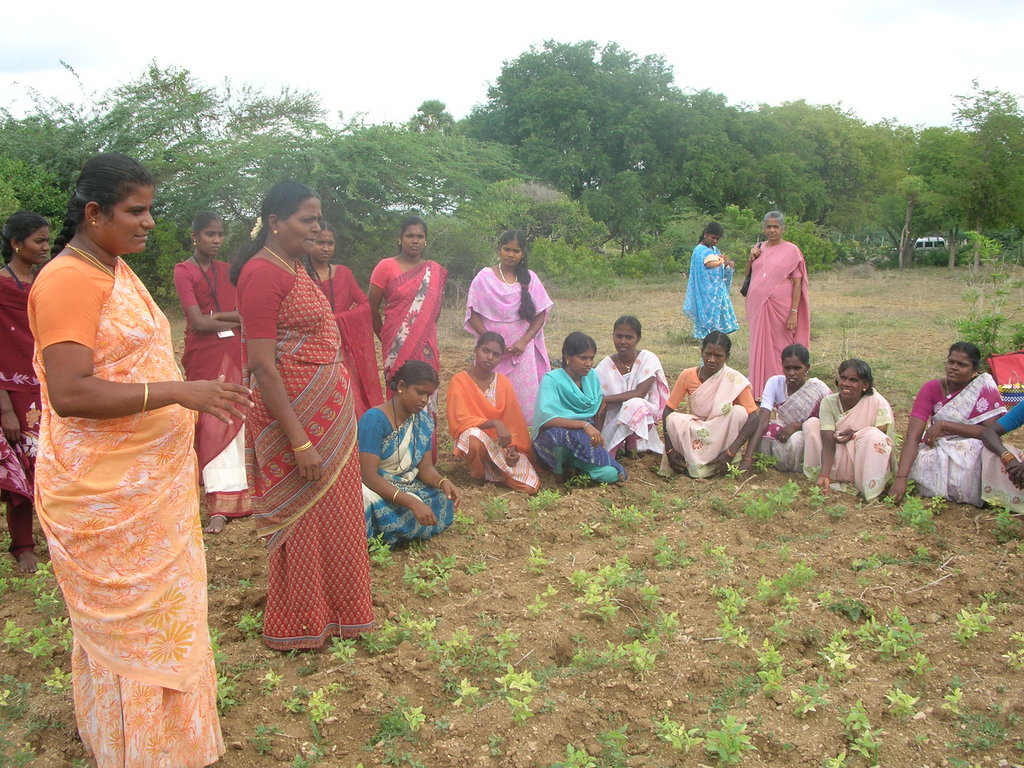 Teaching Sustainable Agriculture to Youth