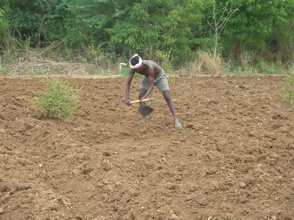 Teaching Sustainable Agriculture to Youth