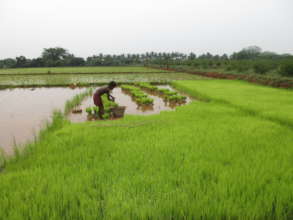 Agriculture for all, agriculture by all.