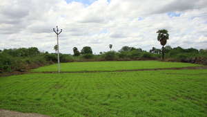 Save Agriculture........ Save Life.........