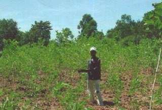 Training 1,200 health educators in Butere-Mumias