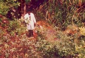 field visits