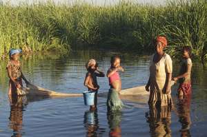 In the still morning harvesting a day's catch