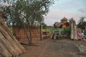 Fence building in the village