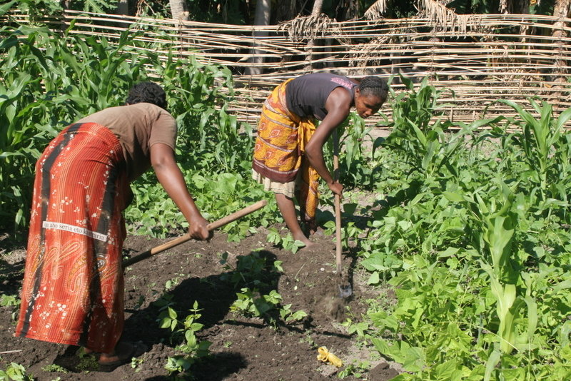 Construct Community Outreach Center, SW Madagascar