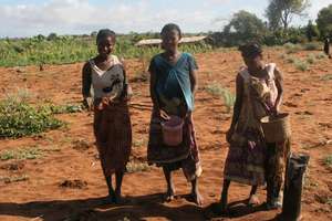 Women of Ranobe seeding their crops