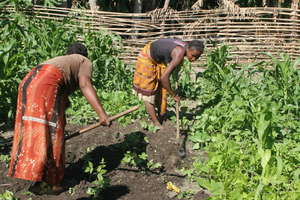 FIMPAHARA women working in a community garden