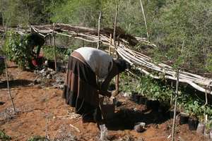 Nursery community work