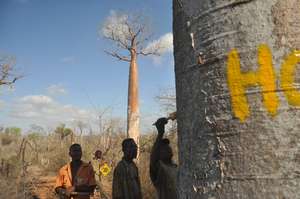 Reserve border painting