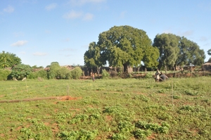 space for barn structure