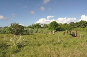 space for pavilion construction