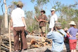 the solar team facing the deforestation
