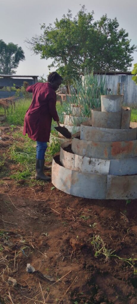 Promoting Real Healthy Families: Home Economics