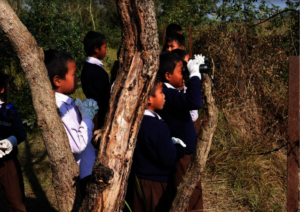 Bird watching & habitat restoration program 2024