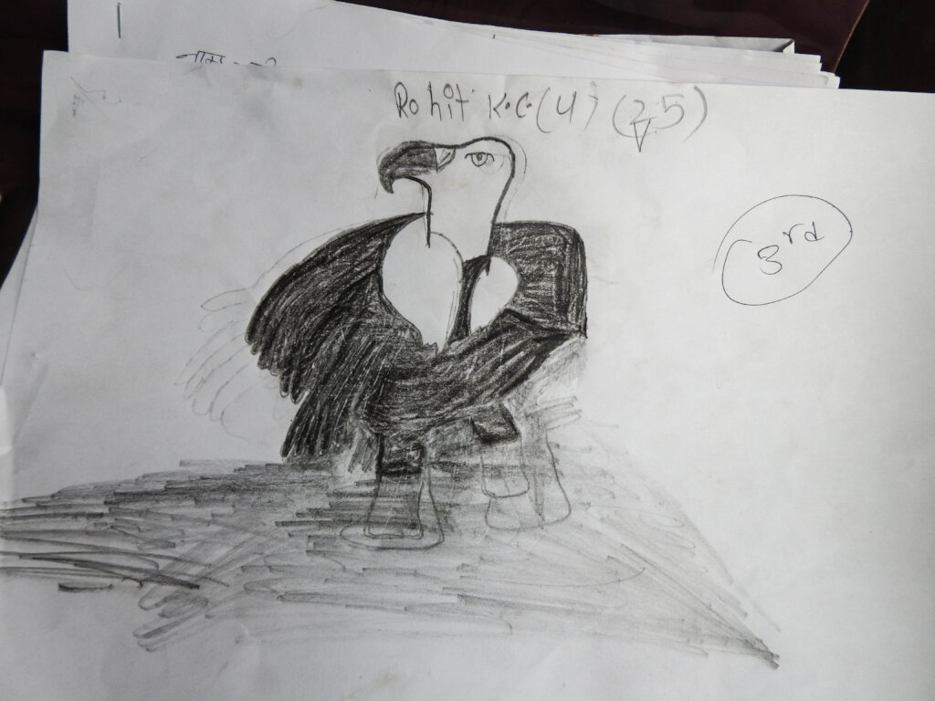 Saving Bengal Tigers through Children's Education