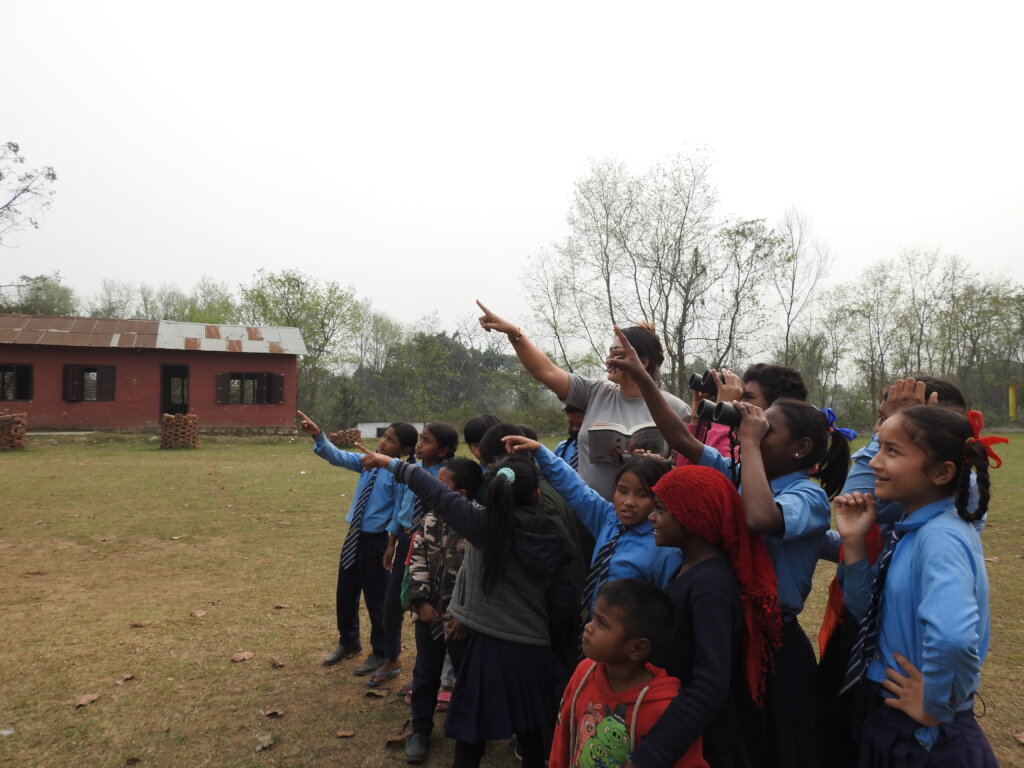 Saving Bengal Tigers through Children's Education