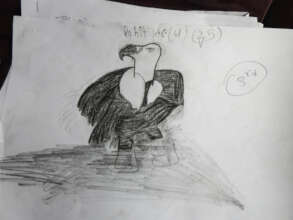 Bird identification art lesson