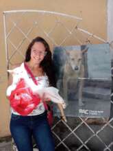 You are the hope of Venezuelan dogs in 2024!