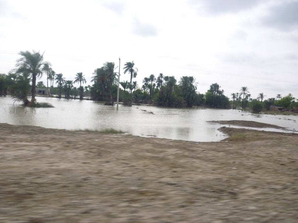 Save & Help Flood Victims in Pakistan