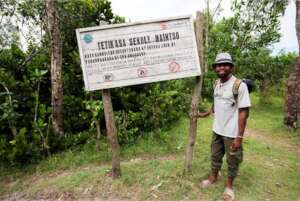 A carbon-offsetting tree-planting site