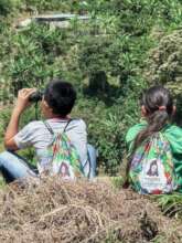 Nature observing