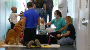 We are thrilled to bring dog therapy to hospitals