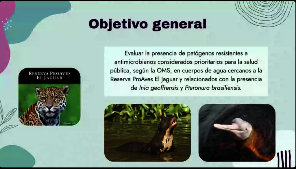 Endangered Pink Dolphins & Zoonotic Pathogens