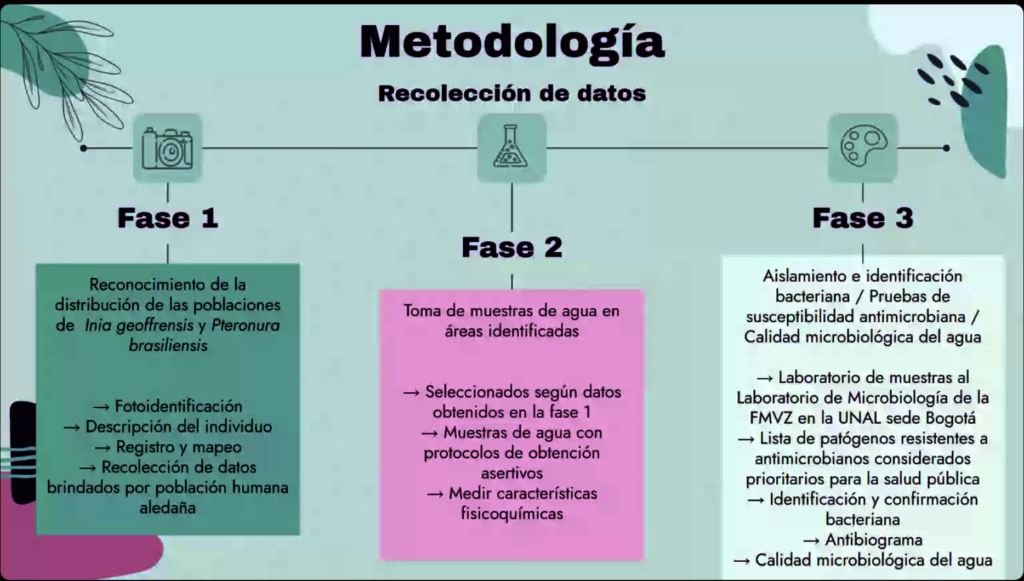 Endangered Pink Dolphins & Zoonotic Pathogens