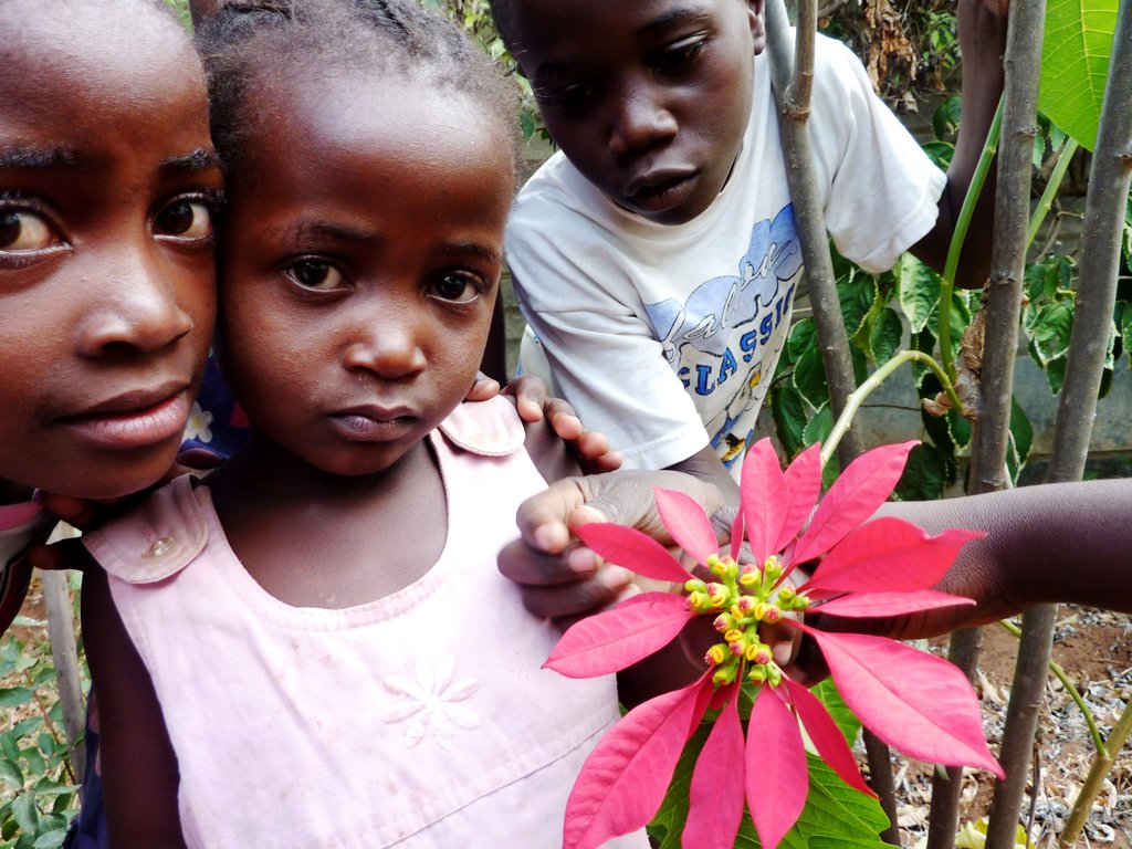 Educate/House orphans and disabled in Zimbabwe