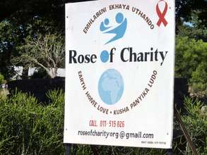 Rose of Charity