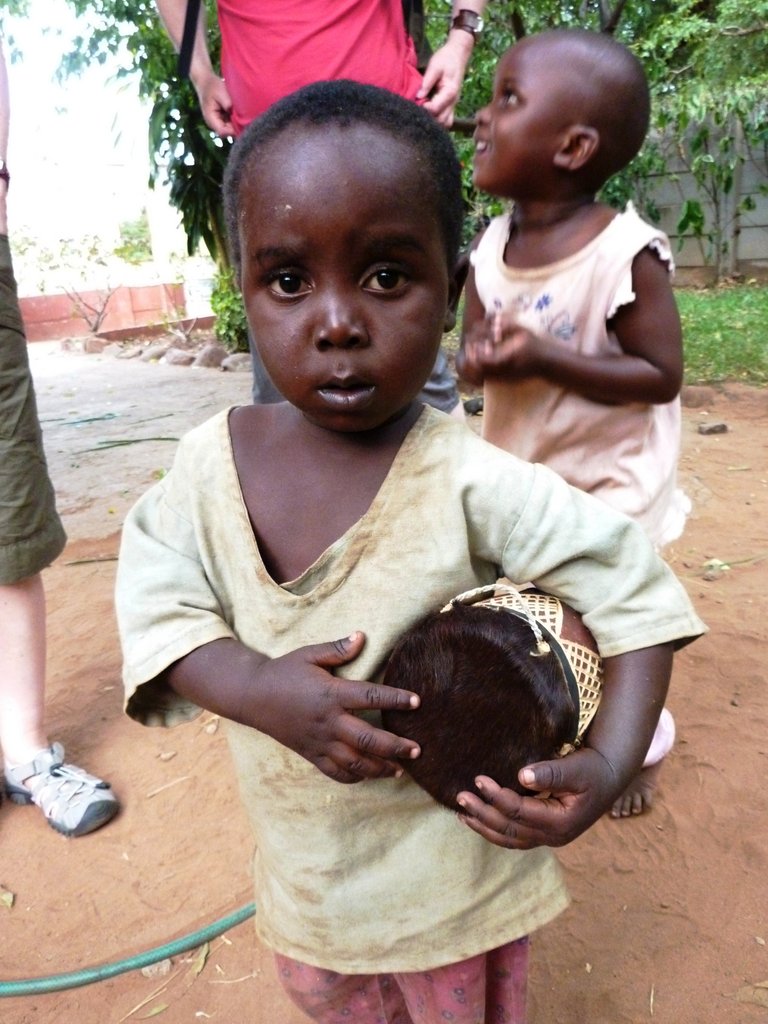 Educate/House orphans and disabled in Zimbabwe