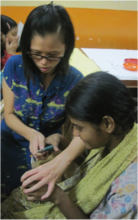Senhoa Pilot Program in India