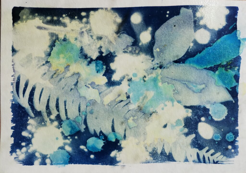 Centre of Excellence for Self Directed Education