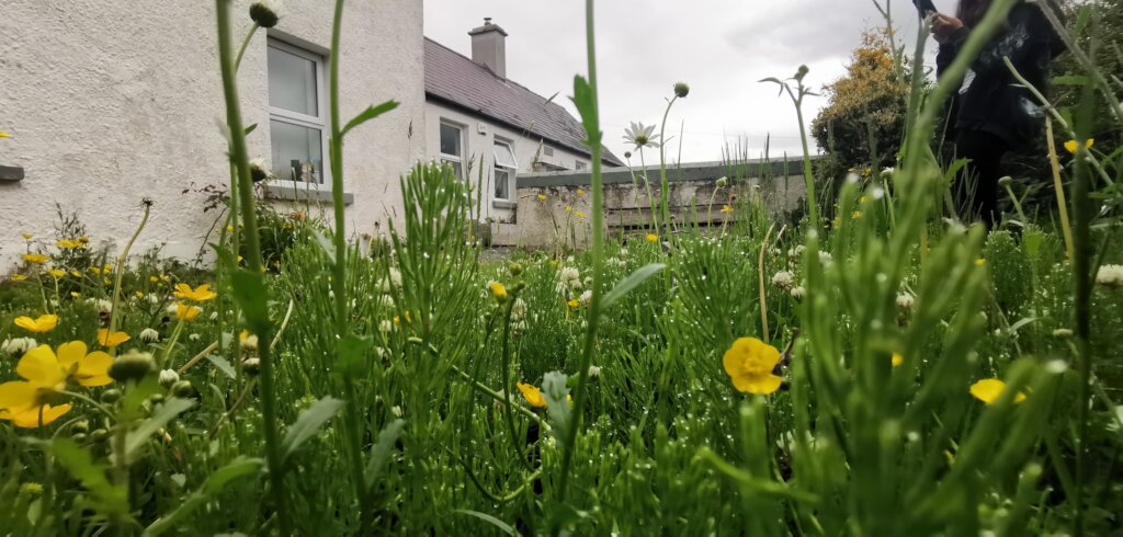 Centre of Excellence for Self Directed Education