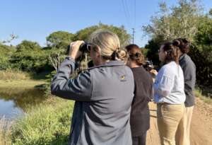 Birding Challenge