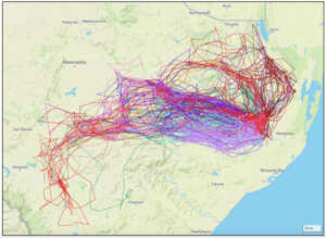 14 African White-backed Vultures 01/05/24-01/11/24